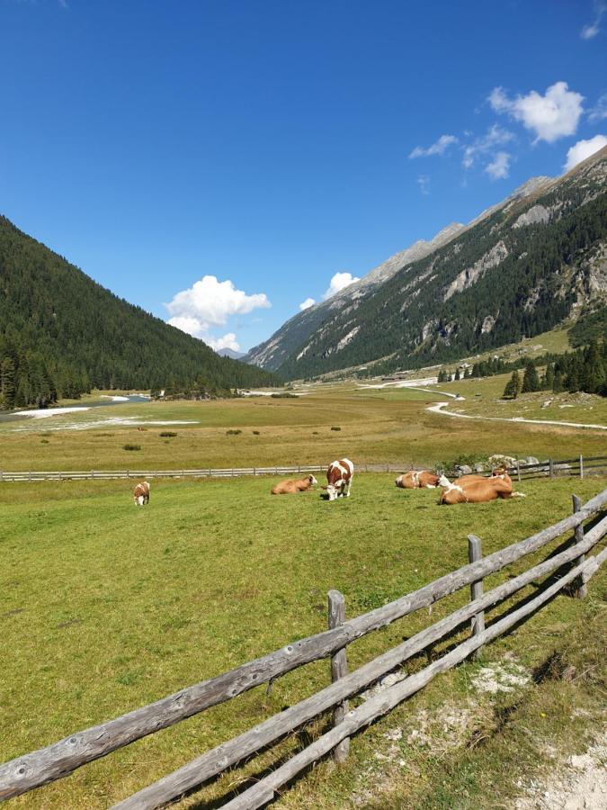 Hotel Haus Renswouw à Hollersbach im Pinzgau Extérieur photo
